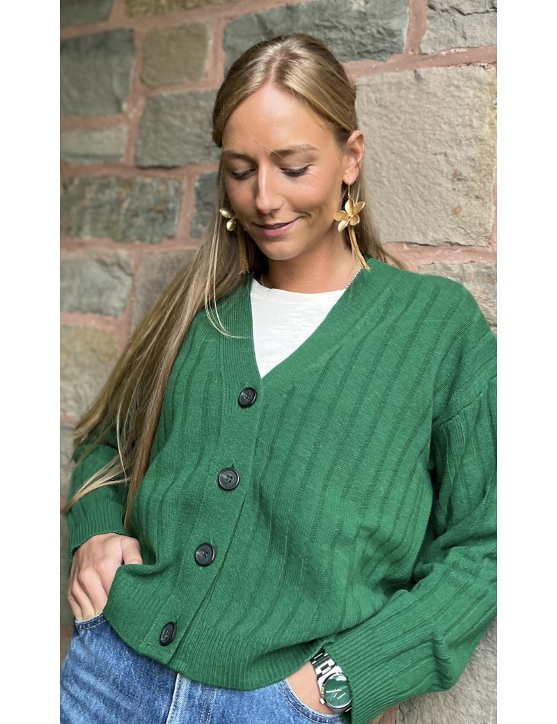 Cardigan ROMEO VERT en pure laine à côtes